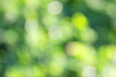 ufuk arka plan çimen