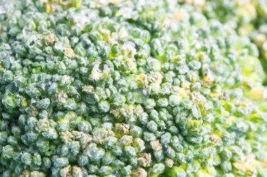 Brokoli lahana çiçeklerin makro çekim