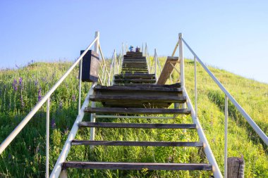 Beton merdiven khao yai orman Tayland at