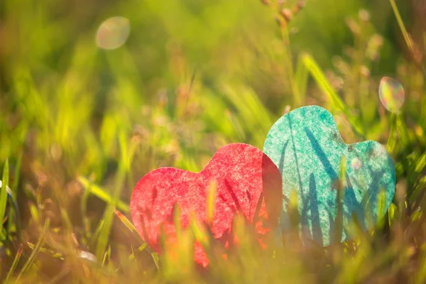Kalpler yeşil çim üzerinde yalan — Stok fotoğraf