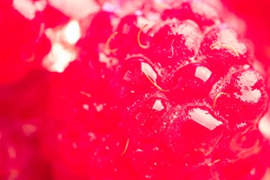 Olgun Kırmızı Ahududu yakın çekim