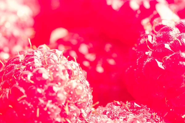 Стиглі червоні малини крупним планом — стокове фото