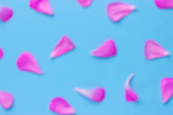 Roze roze bloemblaadjes. Aftelkalender voor Valentijnsdag-achtergrond. — Stockfoto