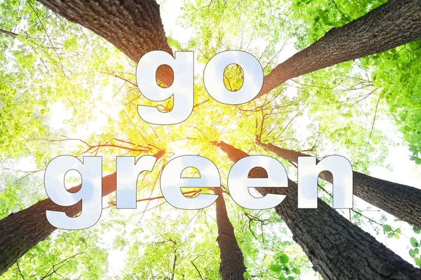 Go testo verde — Foto Stock