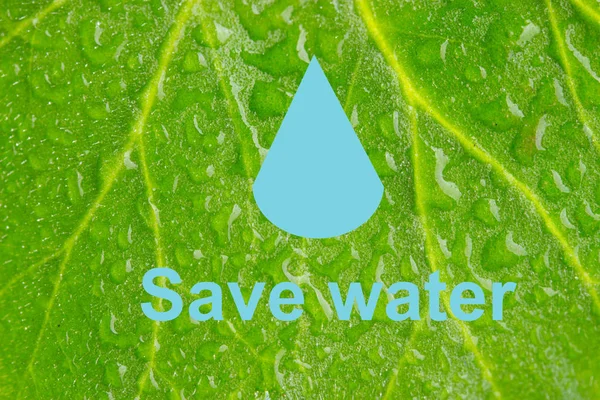 Save water, save earth and go green