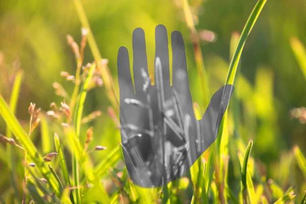 Concepto Impresión Ecológica Impresión Mano Gris Sobre Fondo Verde —  Fotos de Stock