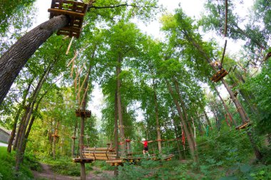 Ormanda macera kıvılcımı