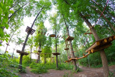 Ormanda macera kıvılcımı