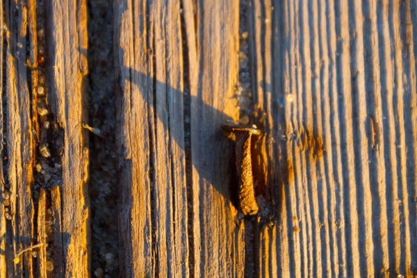 Clavo oxidado en tablón de madera —  Fotos de Stock