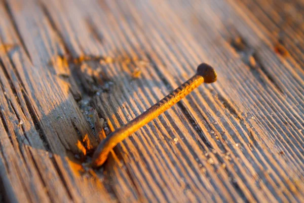 Clavo oxidado en tablón de madera — Foto de Stock