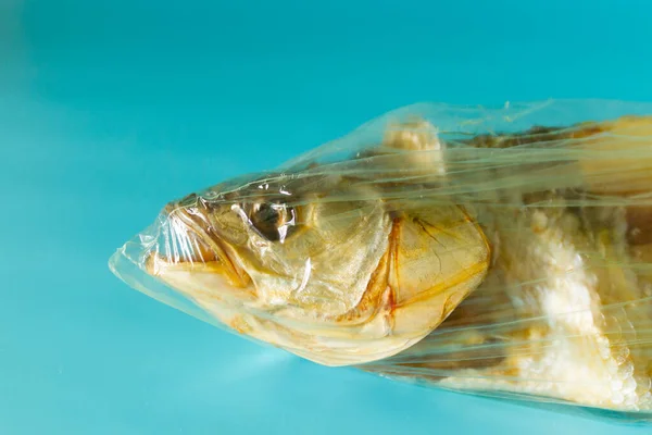 Fish inside plastic bag