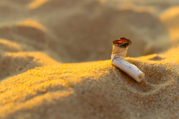 Mégot de cigarette sur la plage — Photo
