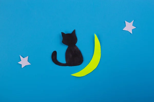 Kara kedi Ay 'da oturuyor — Stok fotoğraf