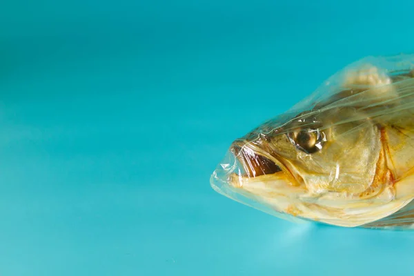 Fish inside plastic bag