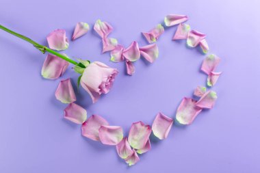 gül yaprakları kalp şeklinde