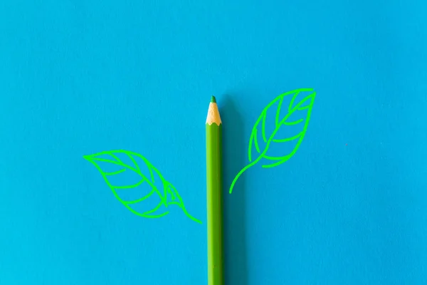 Crayon en bois vert — Photo