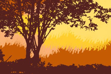 Ormanda gün ışığı. Yapraklardan gelen ışınlar