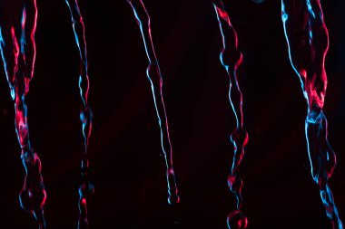 Su akışından gelen kırmızı ve mavi neon arka plan. Odaklanamadı