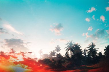 Palmiye ağaçlarının üzerinde gün batımı. Tropik gün batımı