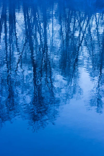 Réflexion Sur Lac Forêt Hiver — Photo