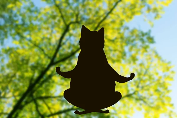 Çizgi Film Kedisi Meditasyonu Doğa Arkaplanı — Stok fotoğraf