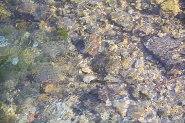 Suyun altında taşlı arka planlar. Nehir altı