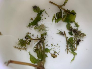 Fincandaki çay yapraklarını kapat.