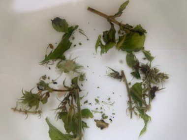 Fincandaki çay yapraklarını kapat.