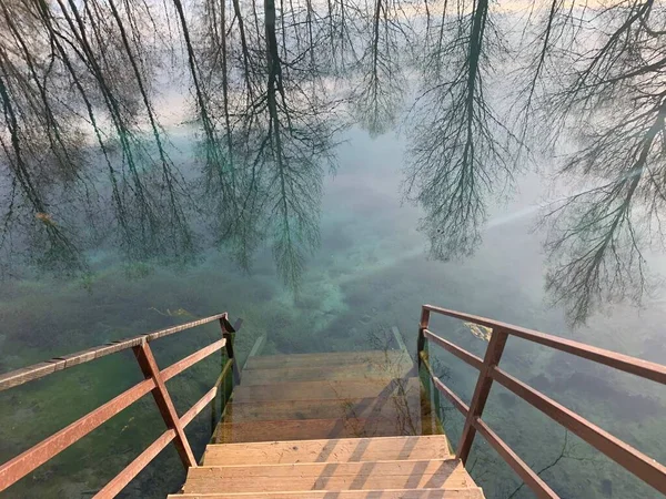 Schöner See Wald Oder Park — Stockfoto