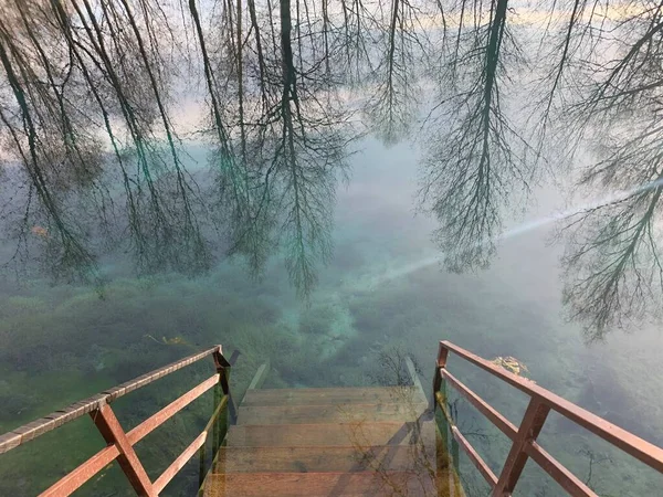 Schöner See Wald Oder Park — Stockfoto