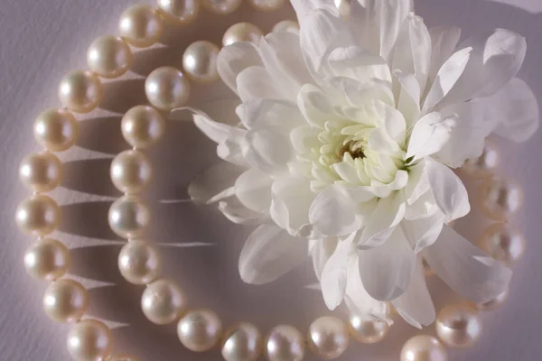 White Pearle Jewellery White Background — Stock Photo, Image