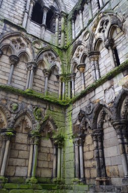 Kemerli ve sütunlar ile eski Gotik taş duvar