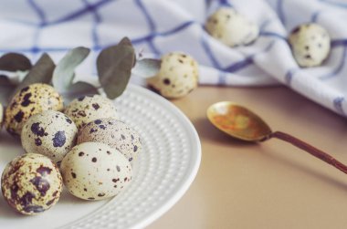 Tablo ayarı beyaz tabak, altın kaşık, yeşil dal, kitch ile