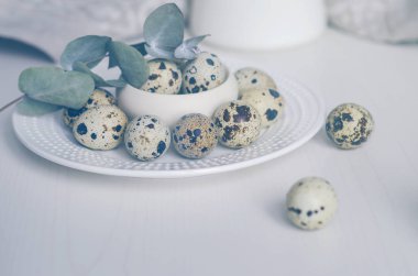 Beyaz bir plaka üzerinde tablo ayarı ile Bıldırcın yumurta