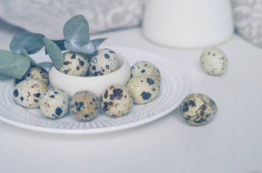 Beyaz bir plaka üzerinde tablo ayarı ile Bıldırcın yumurta