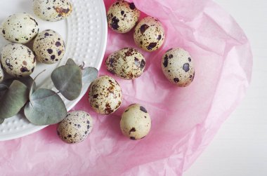 Tablo ayarı ile beyaz tabak, yeşil dal ve bıldırcın yumurtası