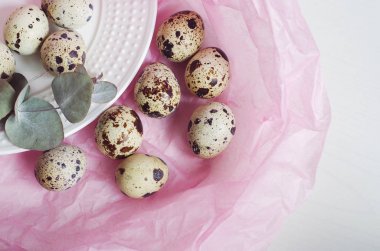 Tablo ayarı ile beyaz tabak, yeşil dal ve bıldırcın yumurtası