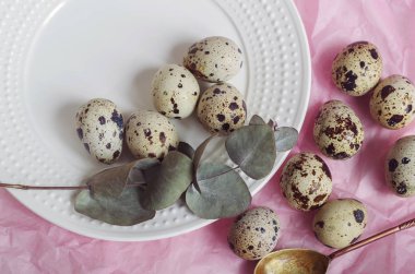 Tablo ayarı ile beyaz tabak, yeşil dal ve bıldırcın yumurtası