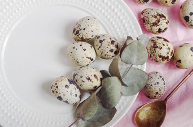 Tablo ayarı ile beyaz tabak, yeşil dal ve bıldırcın yumurtası