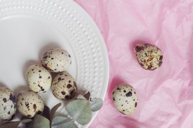 Tablo ayarı ile beyaz tabak, yeşil dal ve bıldırcın yumurtası
