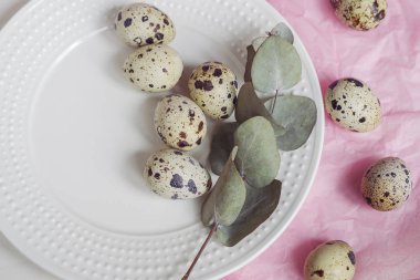 Tablo ayarı ile beyaz tabak, yeşil dal ve bıldırcın yumurtası