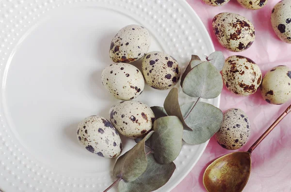 Tablo ayarı ile beyaz tabak, yeşil dal ve bıldırcın yumurtası