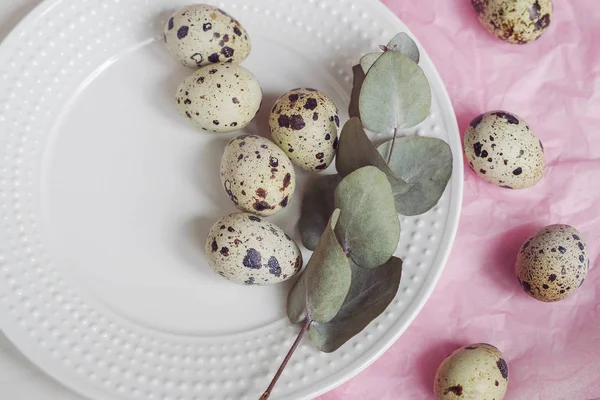 Tablo ayarı ile beyaz tabak, yeşil dal ve bıldırcın yumurtası