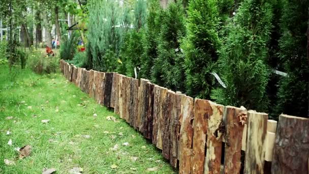 Landscape design. Wooden fence of pine logs. HD — Stock Footage Landscape design. Wooden fence of pine logs. HD Video Clip