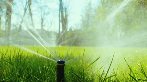 Detail trysek pro postřik vodou systém automatického zavlažování trávníku se svěží zelenou trávou ve slunečný den. Zpomalený pohyb. HD
