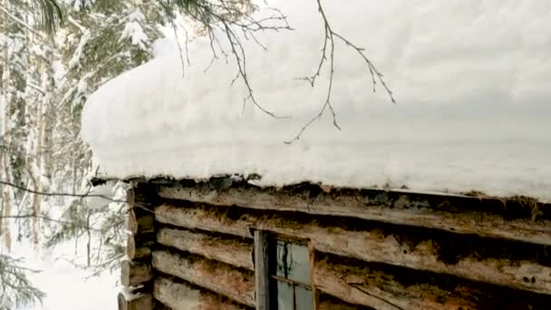 Kış manzarası. Karlı ormanlarla çevrili küçük ahşap bir ev. Kar fırtınasından sonra karla kaplı büyük çam ağaçları. Sibirya 'da tayga. - Rusya. 4K
