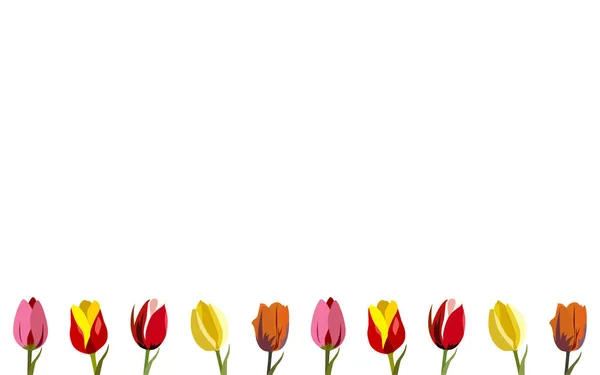 Tapete Tulpen in Farben — Stockvektor