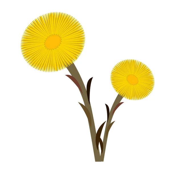 Coltsfoot Clip Art doppelt — Stockvektor