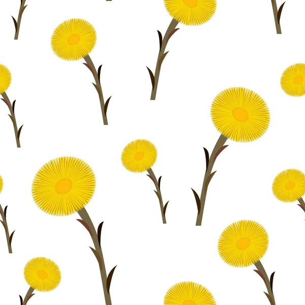 Dikişsiz desen coltsfoot çiçek