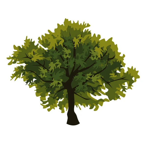 Drzewo dąb clipart — Wektor stockowy